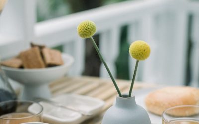 Nunc Volutpat Venenatis