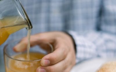 Vestibulum Nisl Felis