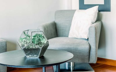 Maecenas Fringilla Augue