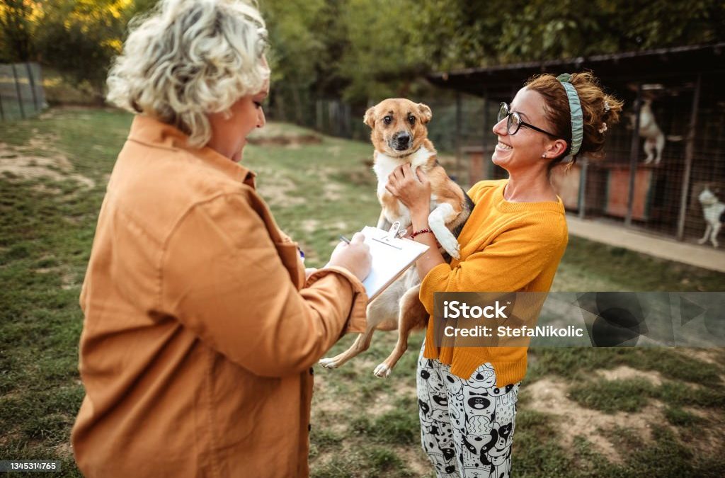 Nunc Volutpat Venenatis