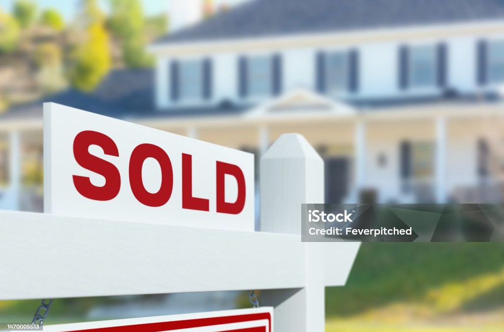 Maecenas Fringilla Augue